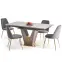 Rozkladací stôl Valentino 160/220x90cm Popolavý/Svetlý – Popolavý/Zlatá,16