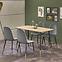Stôl Tripolis 120x70 Mdf/Oceľ – Dub Zlatá/Čierna/Zlatá,11
