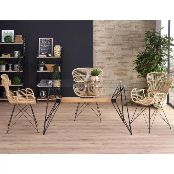 Stôl Allegro 160x80 Transparentný/Čierna