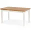 Rozkladací stôl Tiago 140/220x80cm doska/drevo – Dub Lancelot/Biely