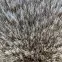 Koberec New Rabbit Fur 1,2/1,7 béžová,6