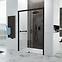 Sprchové dvere D2L/Freezone-100-S CYW0,2
