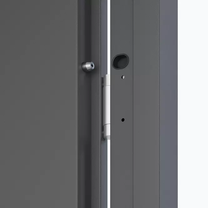 Dvere vchodové Artemida P55 90P Antracit
