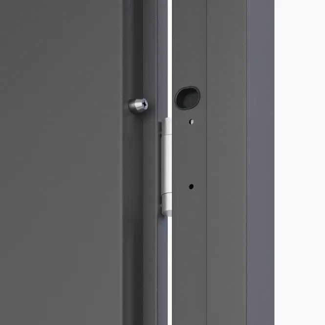 Dvere vchodové Artemida P55 90L Antracit