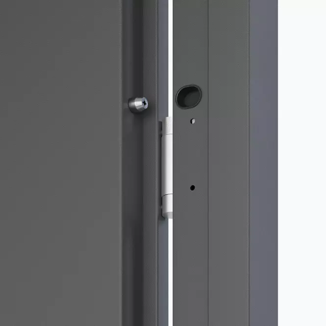 Dvere vchodové Artemida P55 90P Antracit