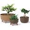 Kvetináč Gracia Eco Wood Standard 400 – antracit eco,2