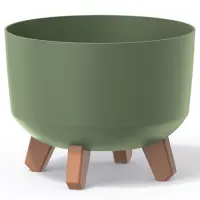 zelená