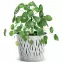 Kvetináč Sandy okrúhly 190 – biely Eco,2