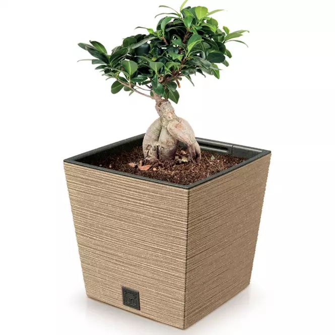Kvetináč Furu štvorec  Low Eco Wood 240 – natura eco