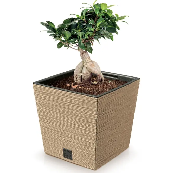 Kvetináč Furu štvorec  Low Eco Wood 240 – natura eco,3