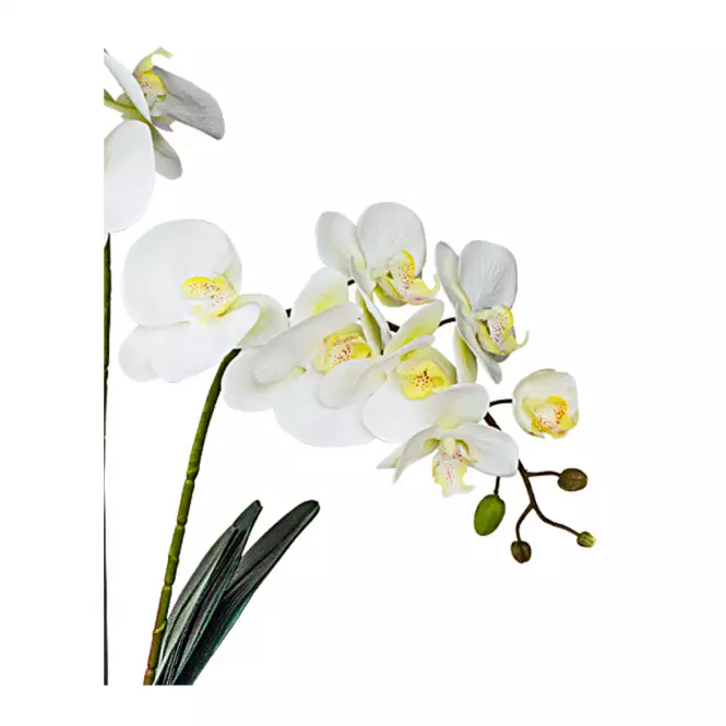 Umelá prémiová orchidea 18 kvetov 80 cm