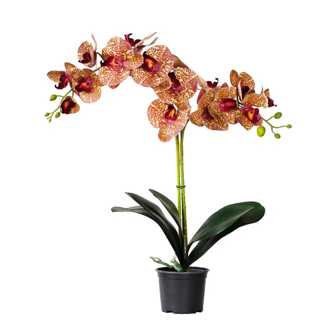 Umelá prémiová orchidea 18 kvetov 80 cm