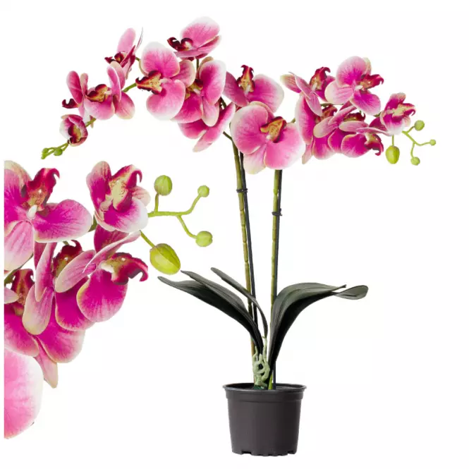 Umelá prémiová orchidea 18 kvetov 80 cm