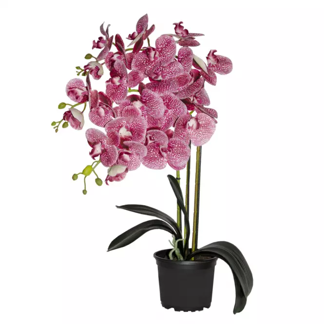 Prémiová umelá orchidea s 3 výhonkami