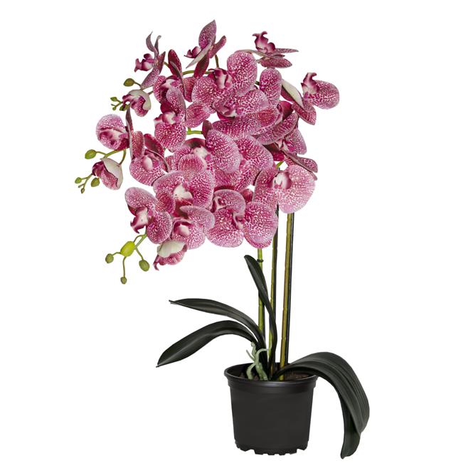 Prémiová umelá orchidea s 3 výhonkami