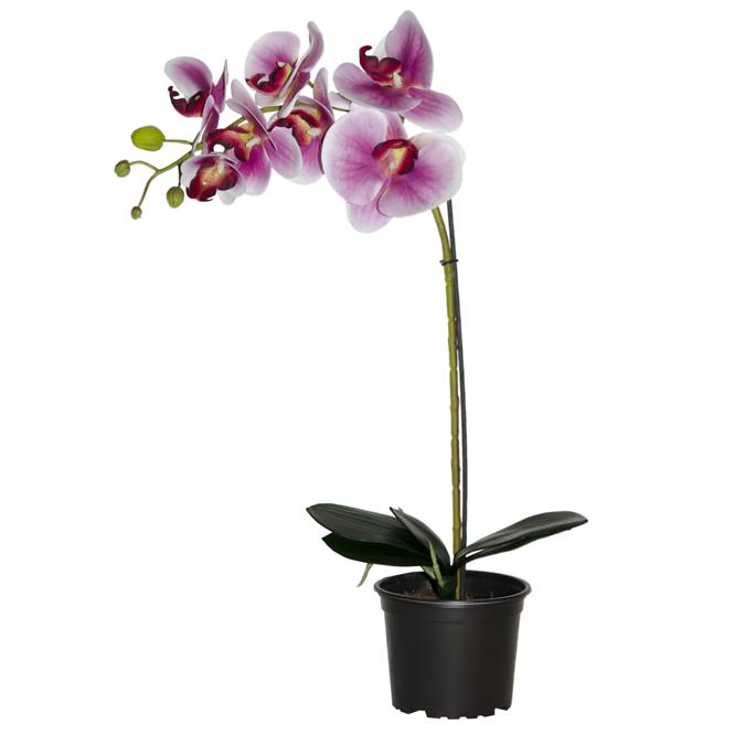 Umelá prémiová orchidea 7 kvetov 70 cm