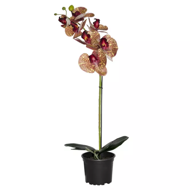 Umelá prémiová orchidea 7 kvetov 70 cm
