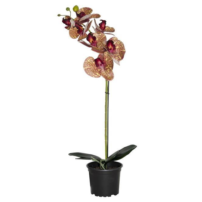 Umelá prémiová orchidea 7 kvetov 70 cm