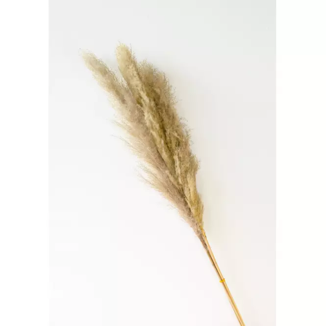 Umelá pampová tráva 115 cm