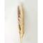 Umelá pampová tráva 150 cm