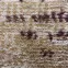 Koberec New Shiraz 1.4/2.0 3829 B55,6