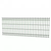 Plotový panel Promo 3D 3,1 200x83 250x123 RAL 6005