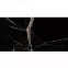 Obkladovy panel SPC Calacatta Black VILO 30x60cm 4mm,3