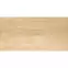 Gres Board Cream 30/60