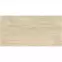 Gres Board Cream 30/60,4