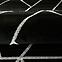 Koberec Frisee Diamond 1,33/1,9 B0052 čierna/strieborný,6