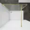 Sprchová stena Walk-In Tiz 100x195 gold,5