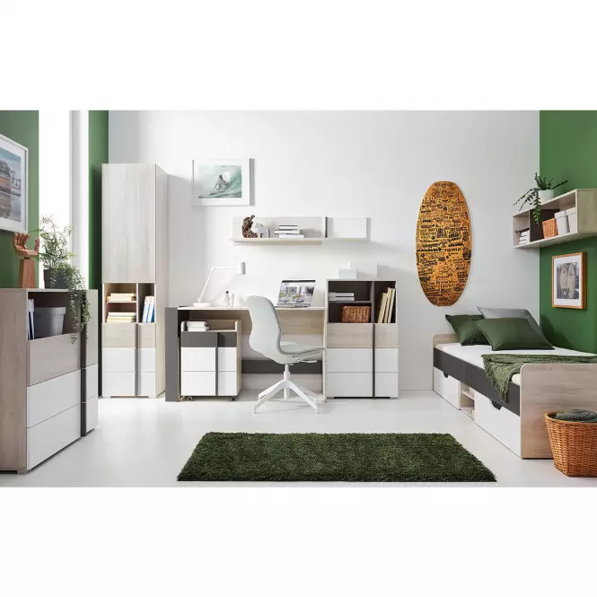 Regál Remo RM6 dub wilton/biela/antracit,4