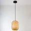 Luster 2200087 NATURE E27 LW1