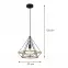 Luster 2200134-1 BLACK PAINTED LW1,3