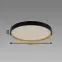 Stropné svietidlo  FARNA LED C 24W NW 04156 PL1,3