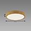 Luster ATUT LED C OAK 18W NW 04149 PL1,3