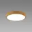 Stropné svietidlo ATUT LED C dub 18W NW 04149 PL1