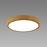 Stropné svietidlo ATUT LED C dub 24W NW 04151 PL1