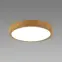 Stropné svietidlo ATUT LED C dub 24W NW 04151 PL1