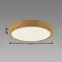 Stropné svietidlo ATUT LED C dub 24W NW 04151 PL1,3