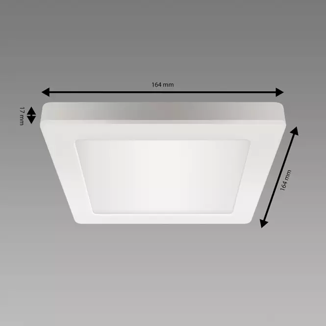 Luster OLGA LED D 12W WHITE CCT 04061 PL1