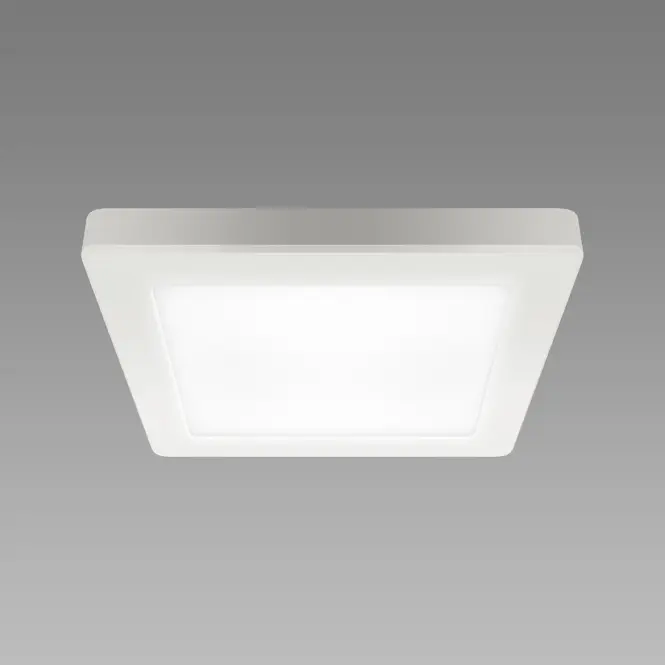 Stropné svietidlo prisadené OLGA LED D 12W WHITE CCT 04061 PL1