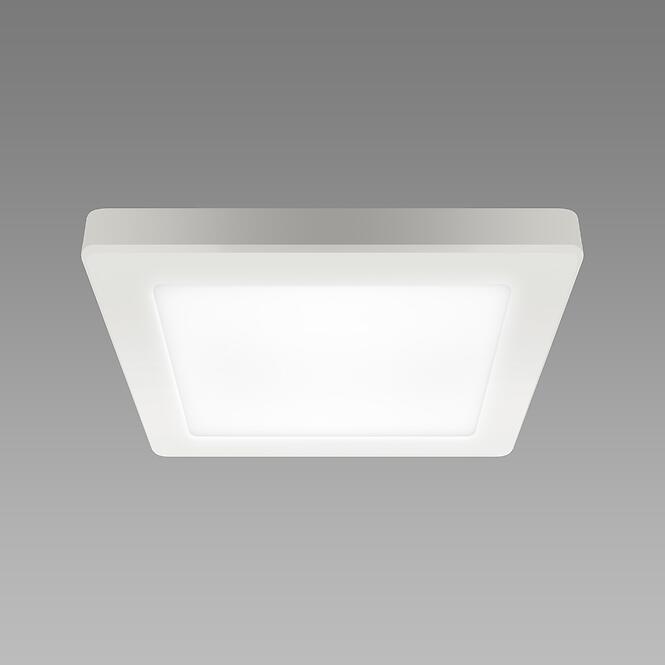 Stropné svietidlo prisadené OLGA LED D 12W WHITE CCT 04061 PL1