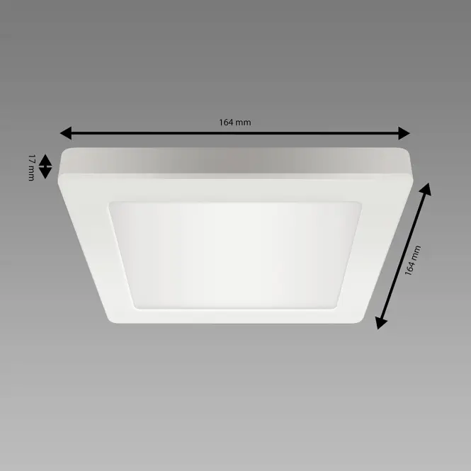 Stropné svietidlo prisadené OLGA LED D 12W WHITE CCT 04061 PL1