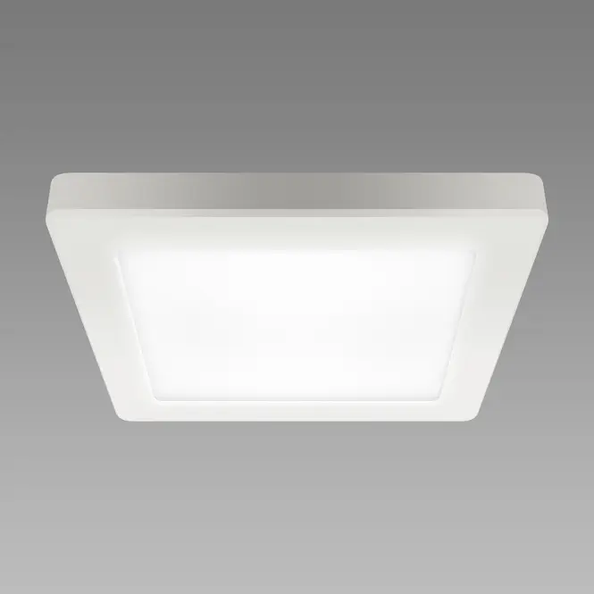 Stropné svietidlo prisadené OLGA LED D 18W WHITE CCT 04062 PL1