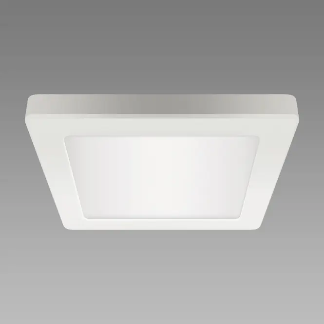 Stropné svietidlo prisadené OLGA LED D 18W WHITE CCT 04062 PL1