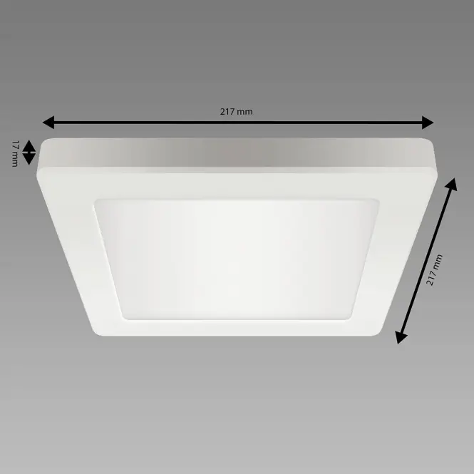 Stropné svietidlo prisadené OLGA LED D 18W WHITE CCT 04062 PL1