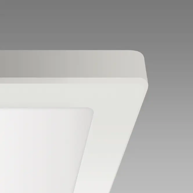 Stropné svietidlo prisadené OLGA LED D 18W WHITE CCT 04062 PL1,4