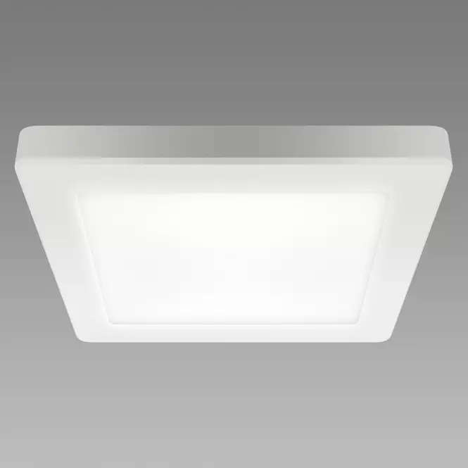 Luster OLGA LED D 24W WHITE CCT 04063 PL1