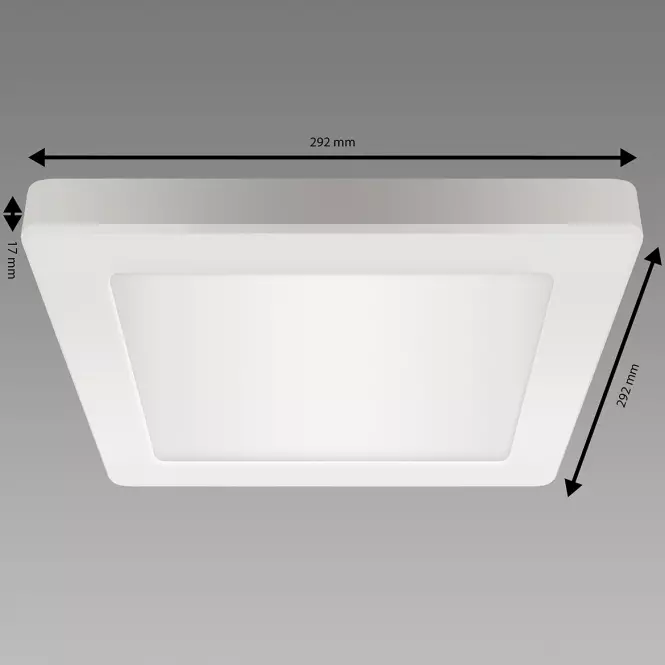 Luster OLGA LED D 24W WHITE CCT 04063 PL1